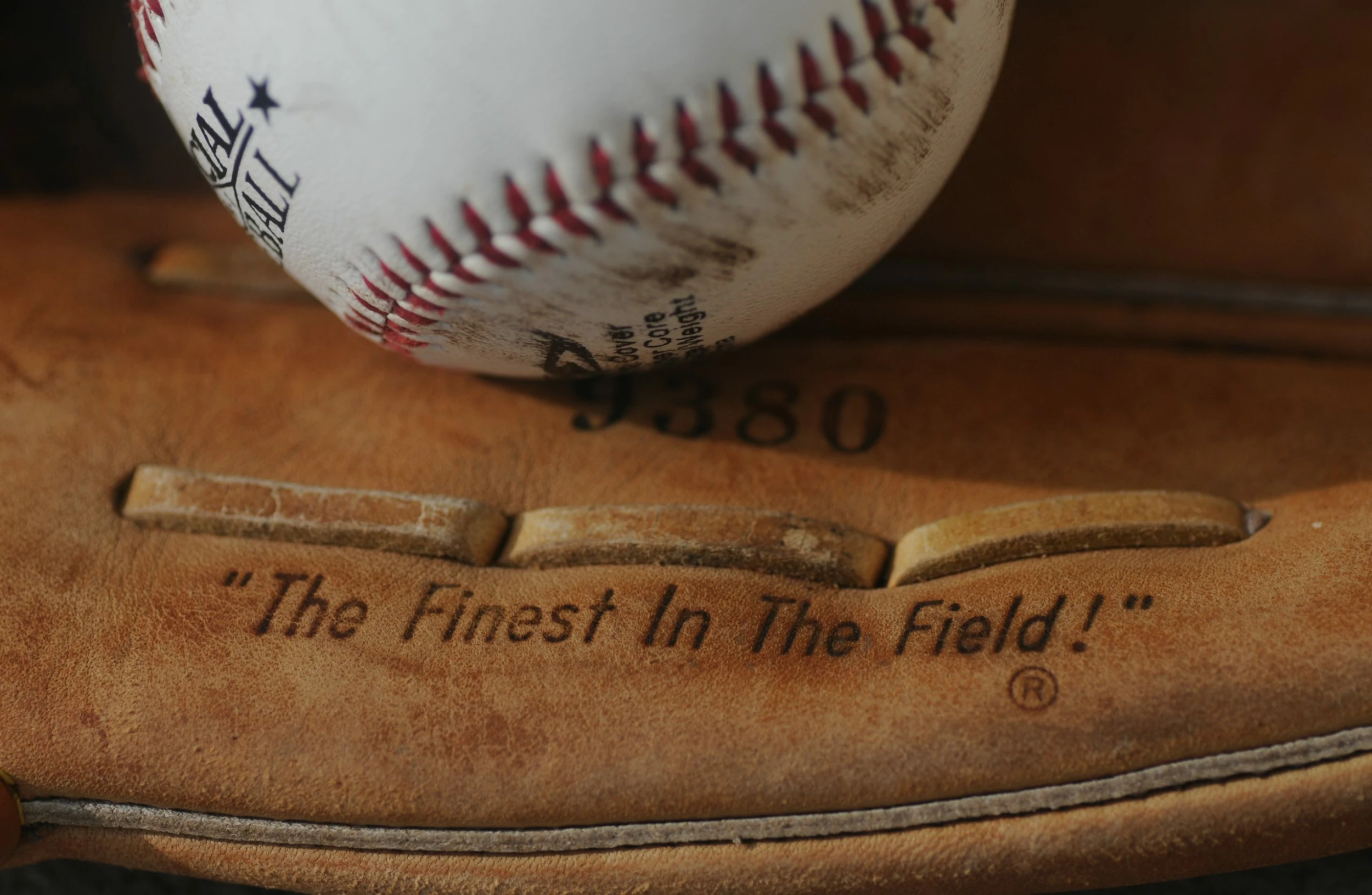 Front Page -Bats Elegant store ben hershey J1Gmq9AfMvI unsplash scaled